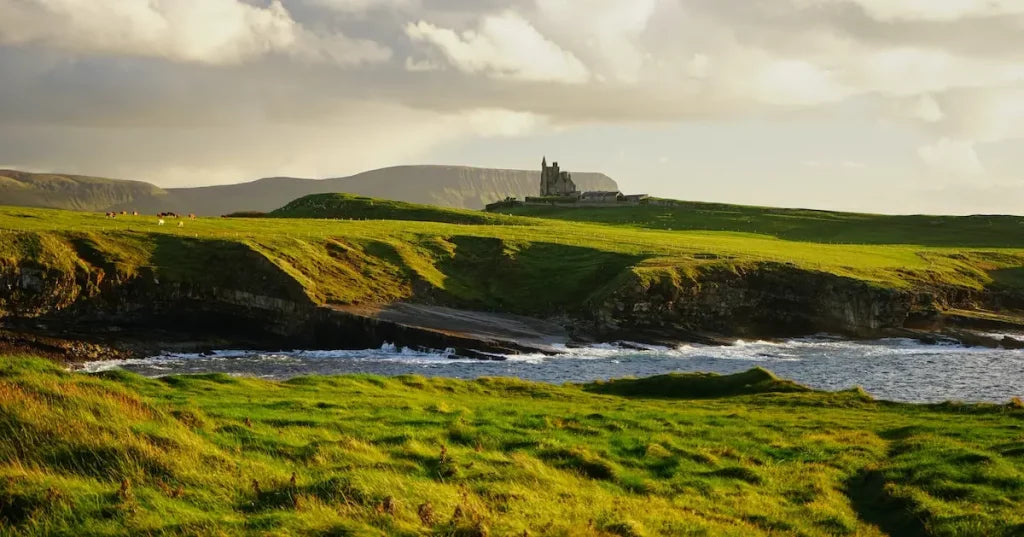 Trihalométhanes eau potable Irlandde